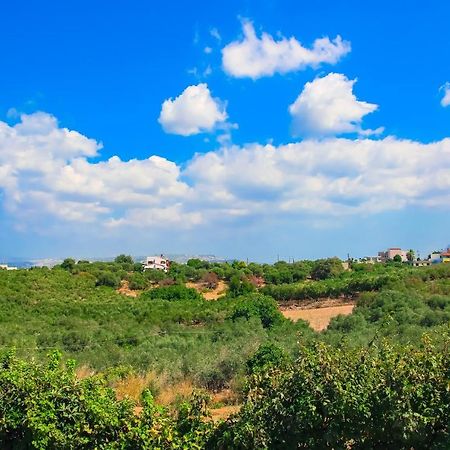 Villa Panagiotis Chania Daratsos Bagian luar foto
